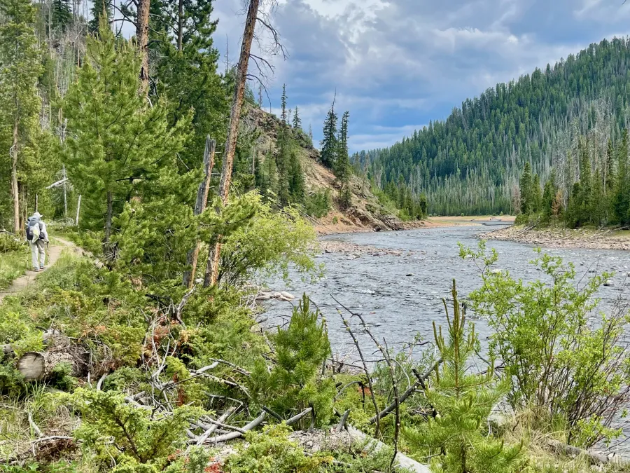 The Colorado River