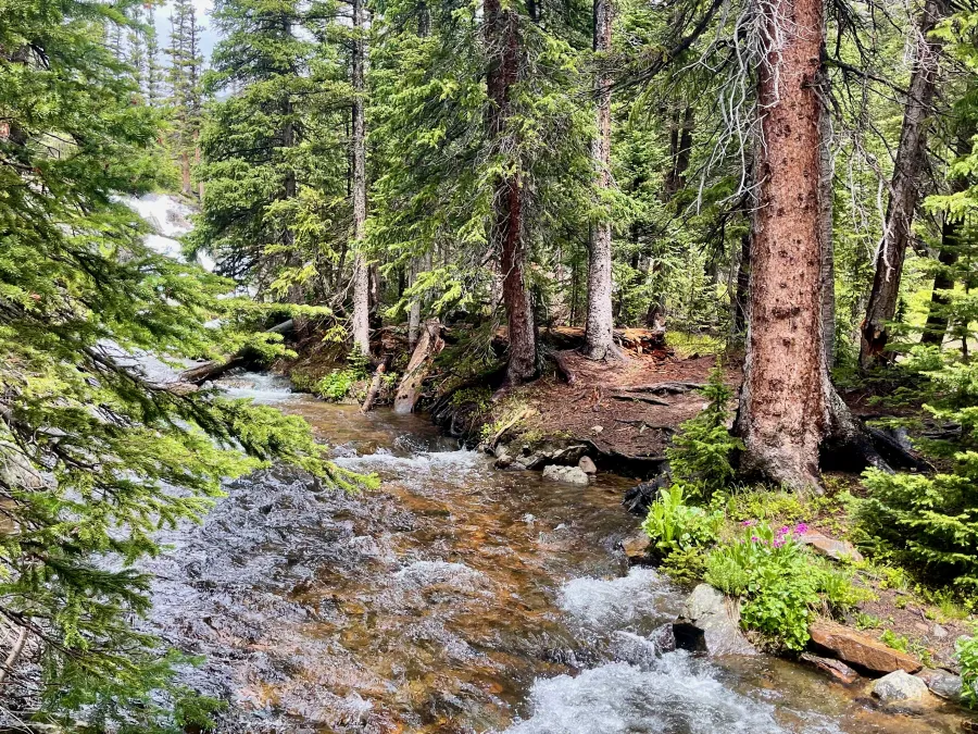 North Fork Middle Boulder Creek