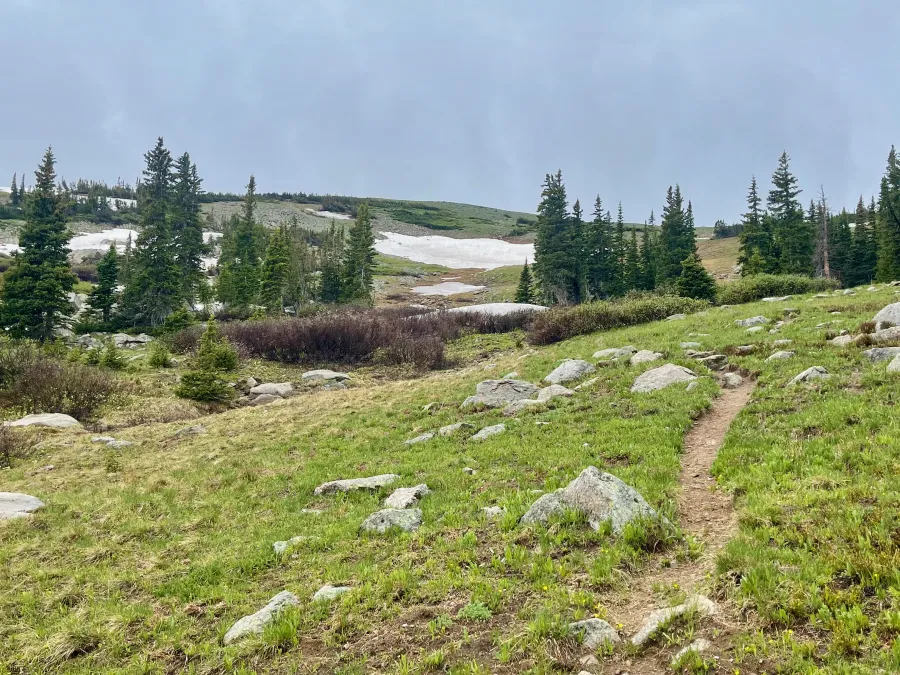 Rolling terrain in Indian Peaks Wilderness