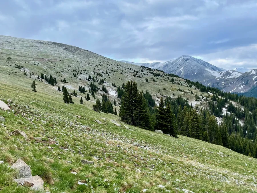 A view of Parry Peak