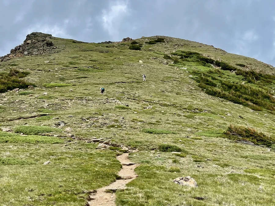 Climbing above the treeline