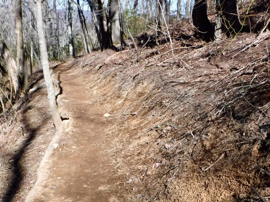Recent trail work