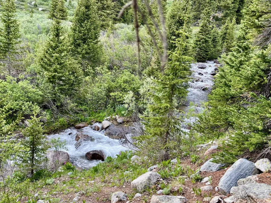 A creek in Chihuahua Gulch