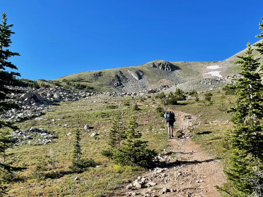 Climbing above the treeline on Tenmile Range