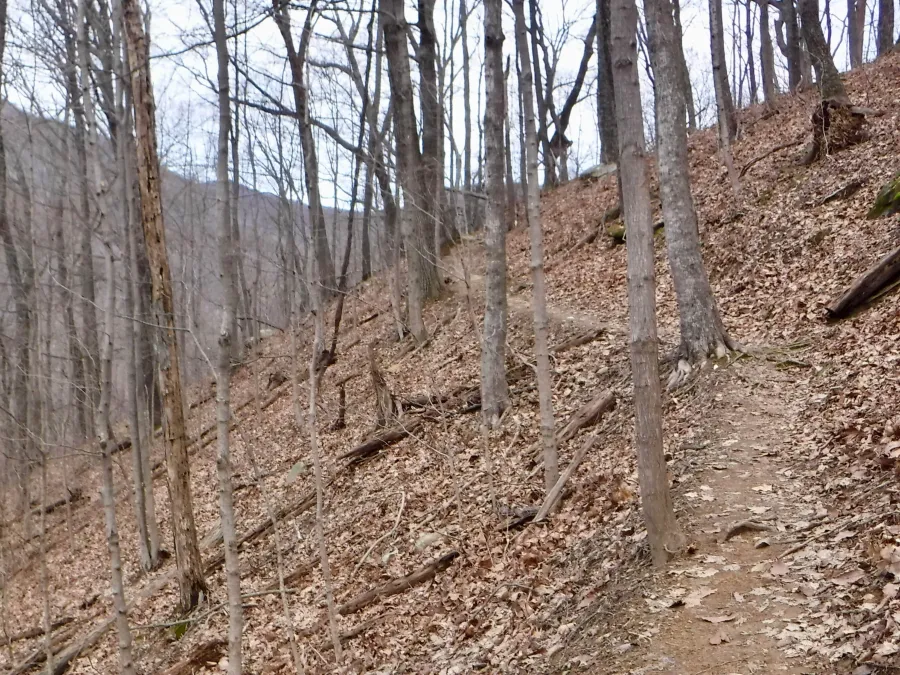Climbing North Old Mac Trail