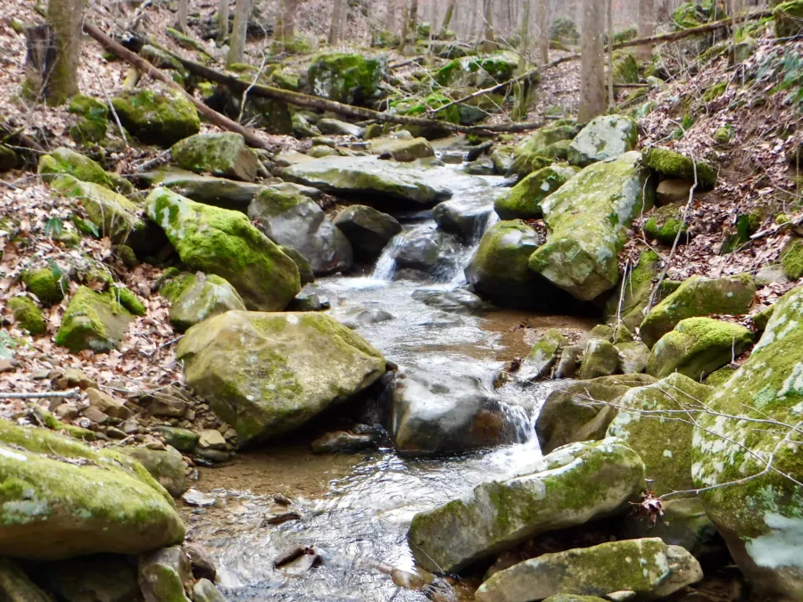 Phillips Creek