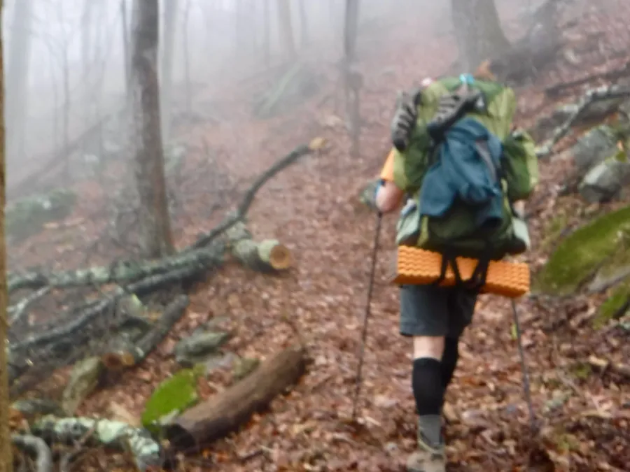 Bird Mountain Trail