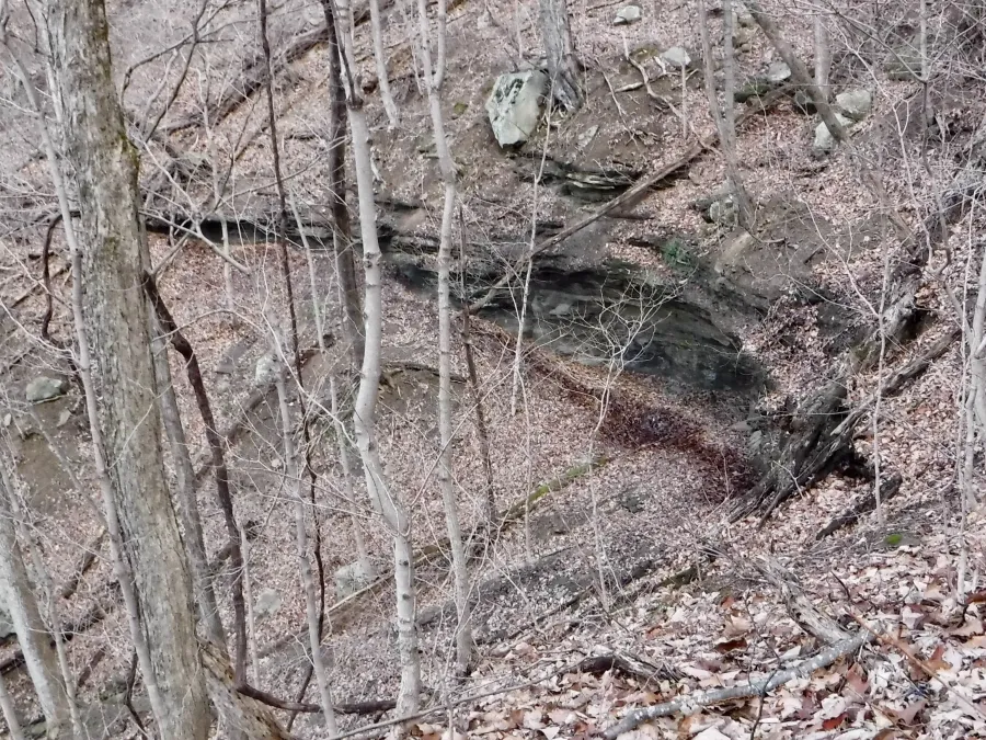 Rock house