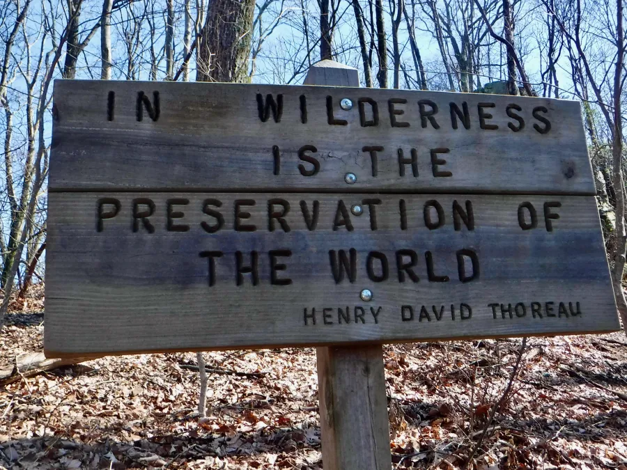 Thoreau sign