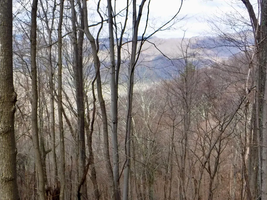 Distant view