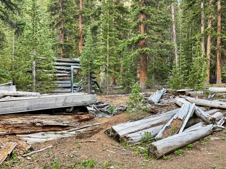 Ruins of a log building in Little Willis Gulch