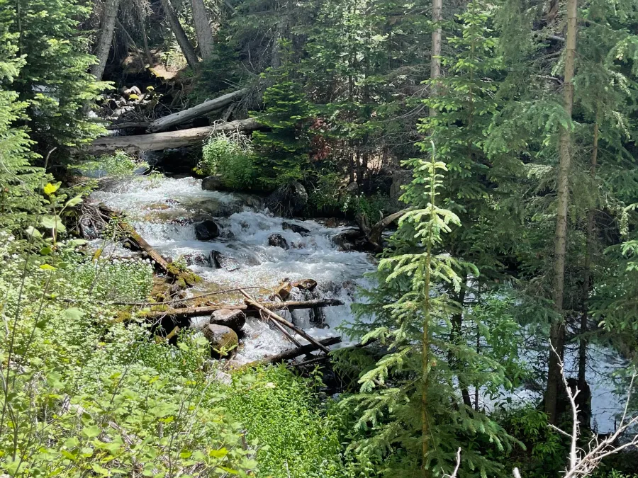 The creek in Willis Gulch