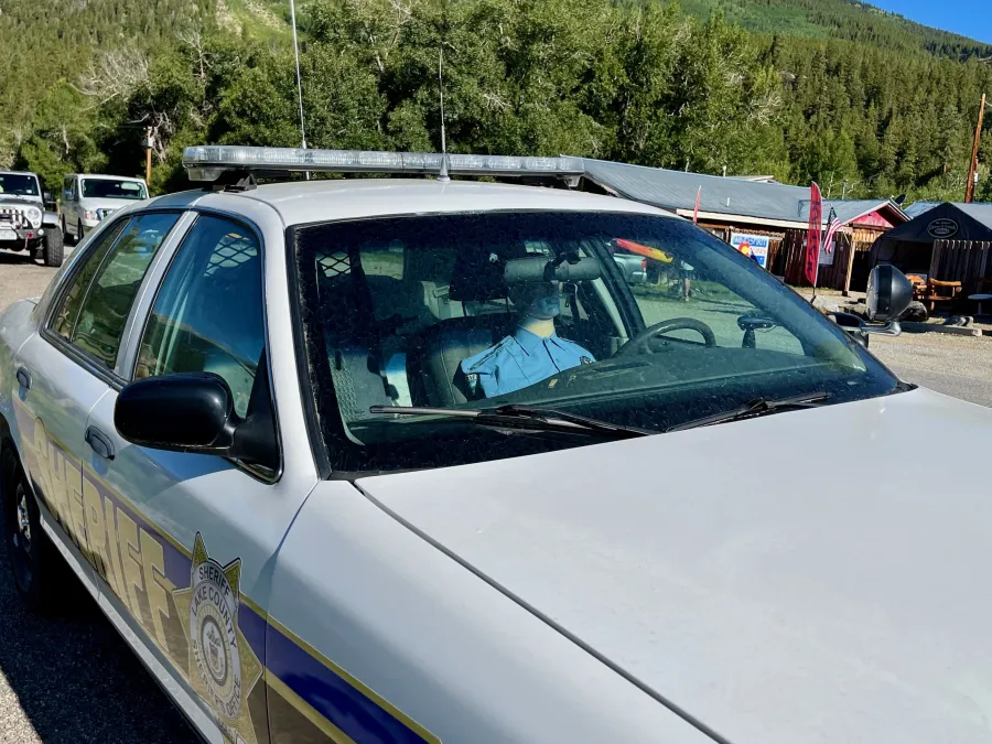 The cop is a dummy