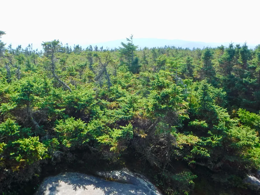 View from summit of Old Blue Mountain