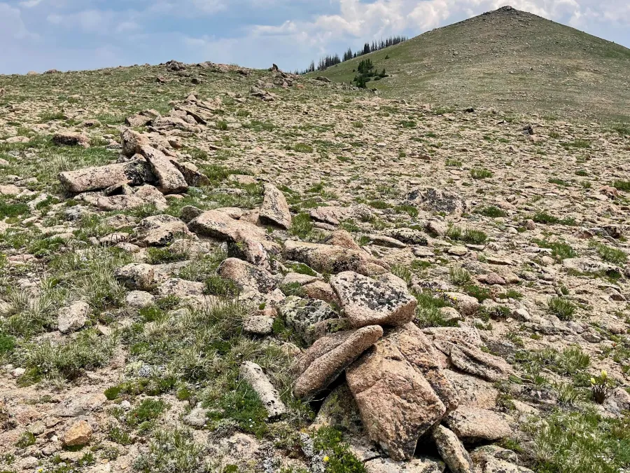 Monarch Pass Game Drive