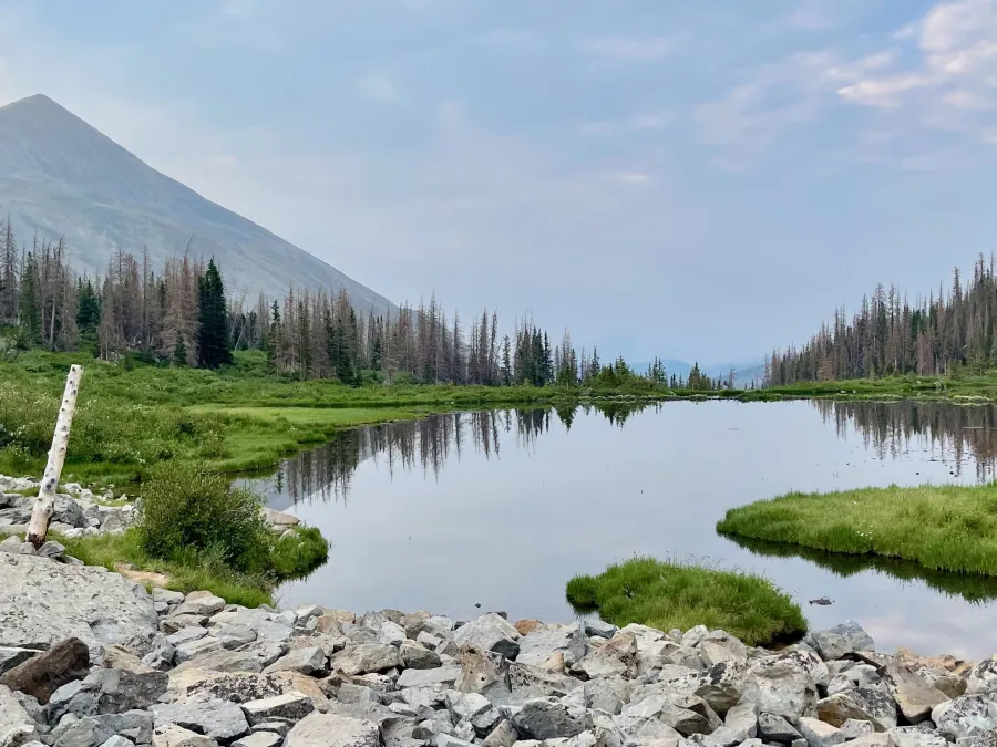 A pond looks like an infinity pool
