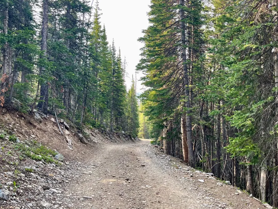 The CDT follows a gravel road