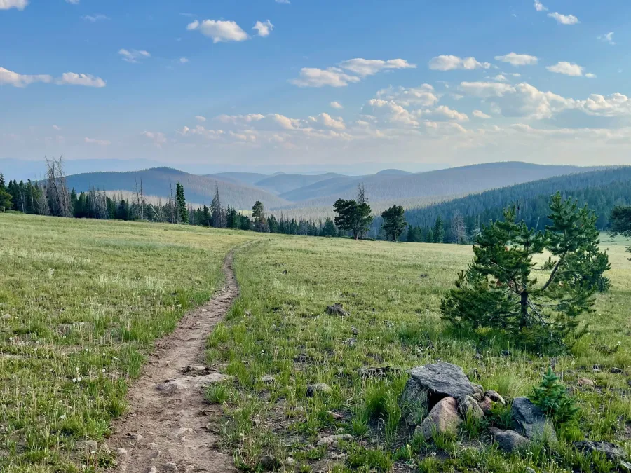 Crossing a meadow late in the afternoon