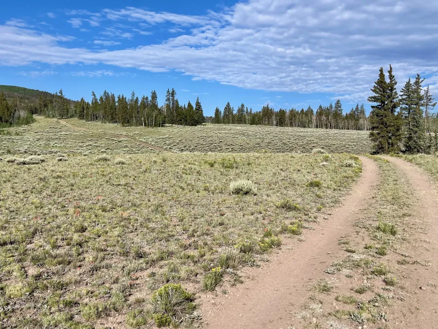 Rolling terrain in Cochetopa Park