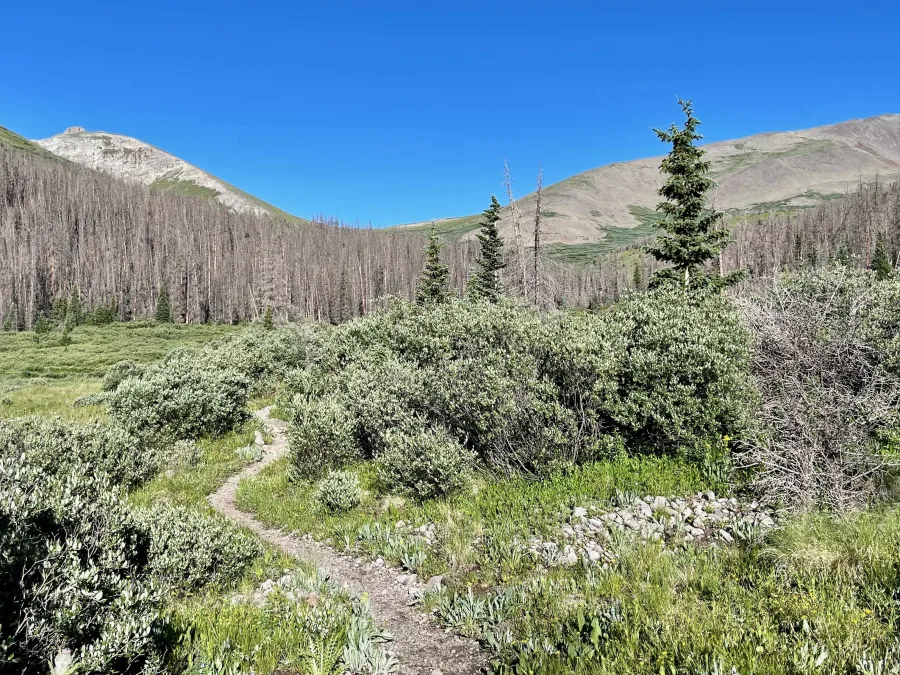Approaching a saddle near San Luis Peak