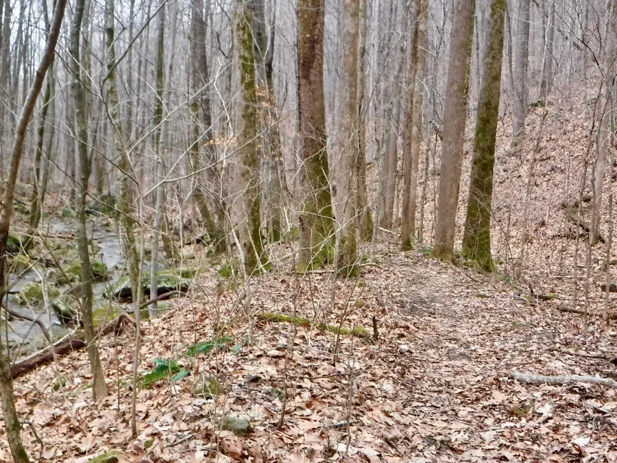 Trail doubles back