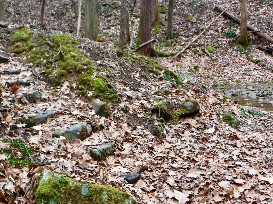 Steps near stream