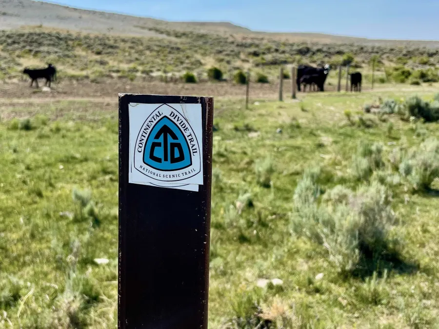 A trail marker at Bison Basin Road