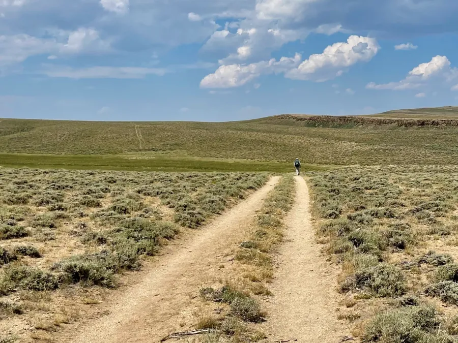 Top O' walks far ahead