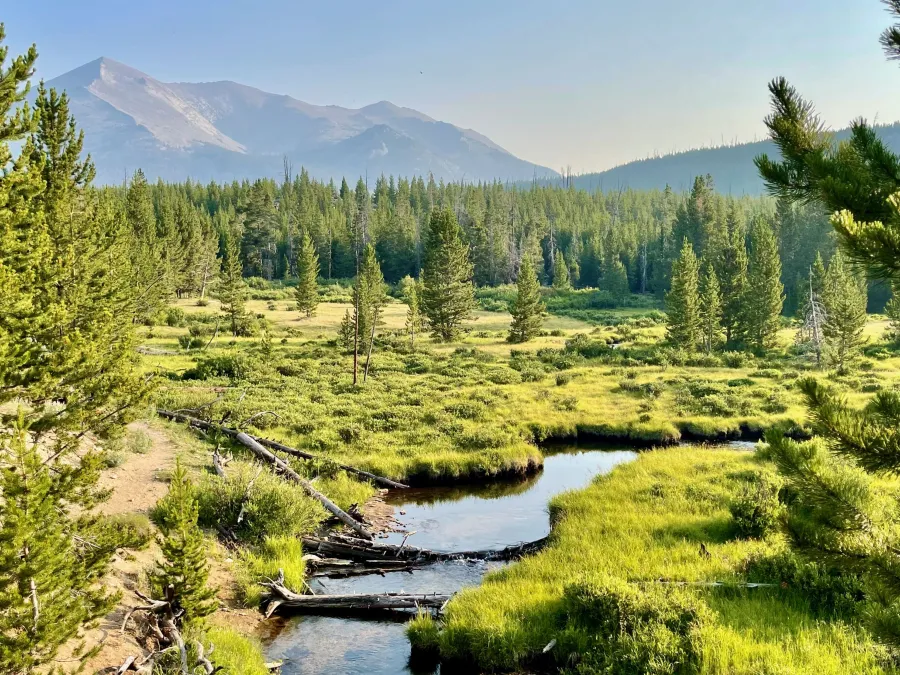 Larsen Creek