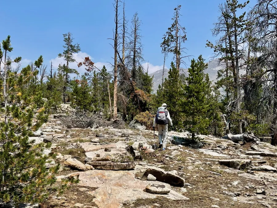 Top O' follows the trail from Little Sandy Creek