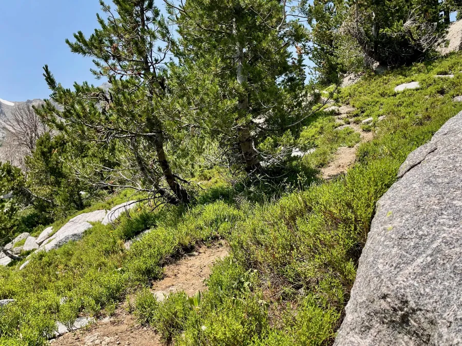 Steep climb toward Texas Pass