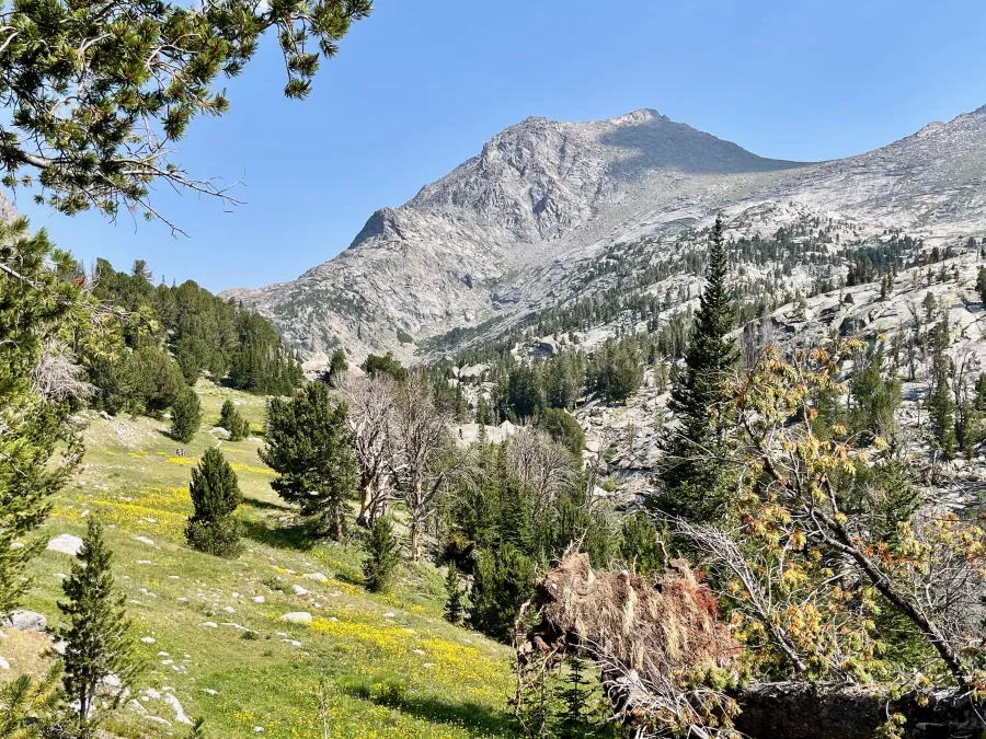 Passing through a valley on the way to Jackass Pass