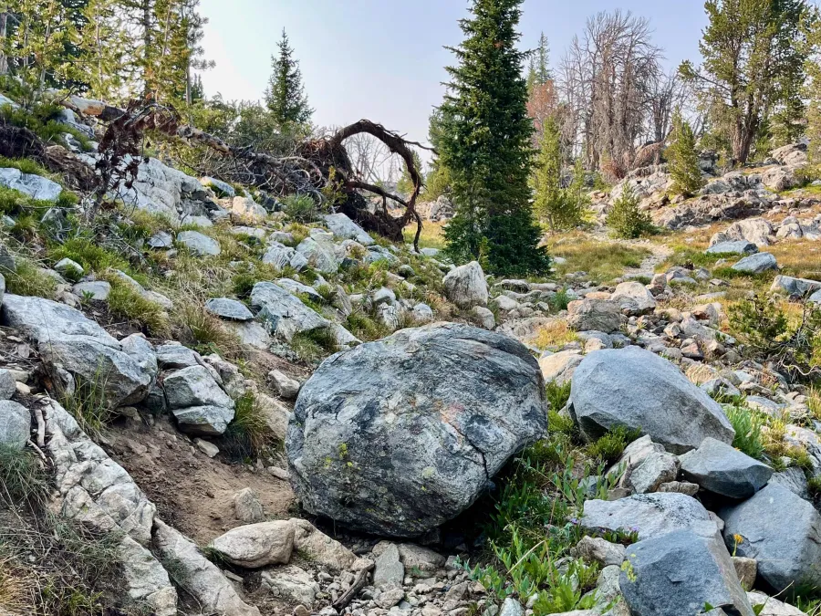 A boulder lies on the trail