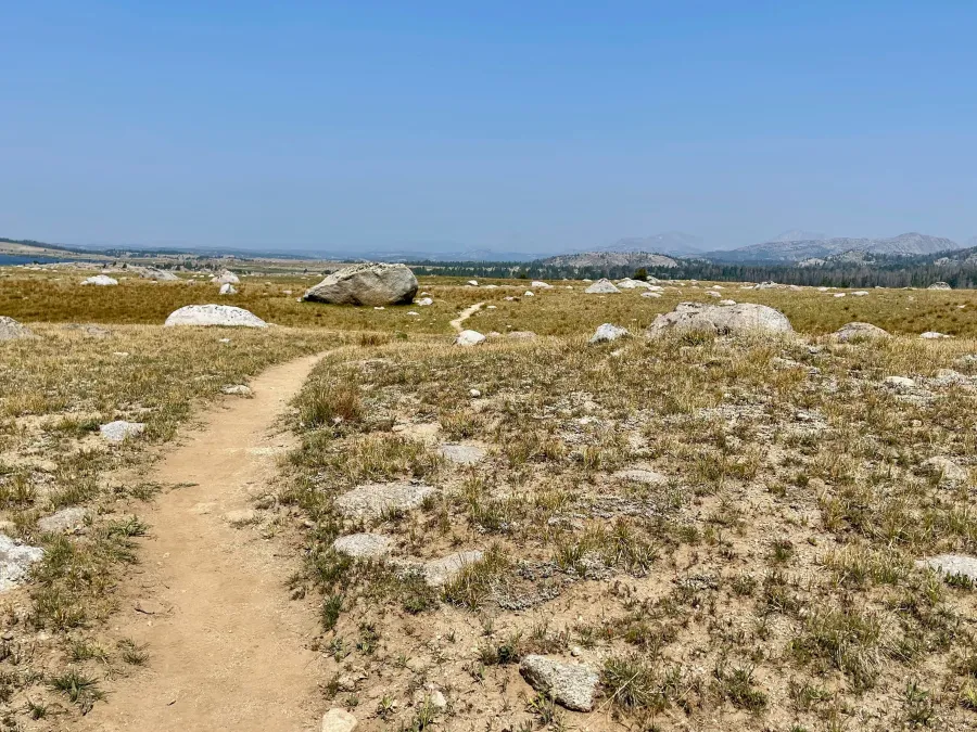 A flat section of trail