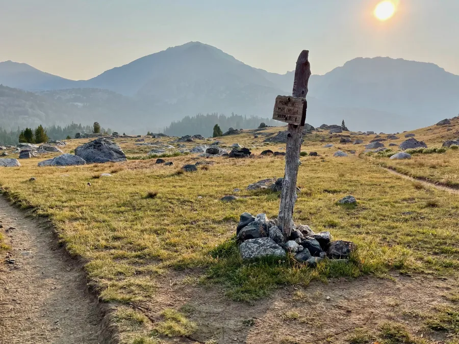 Reconnecting with the CDT