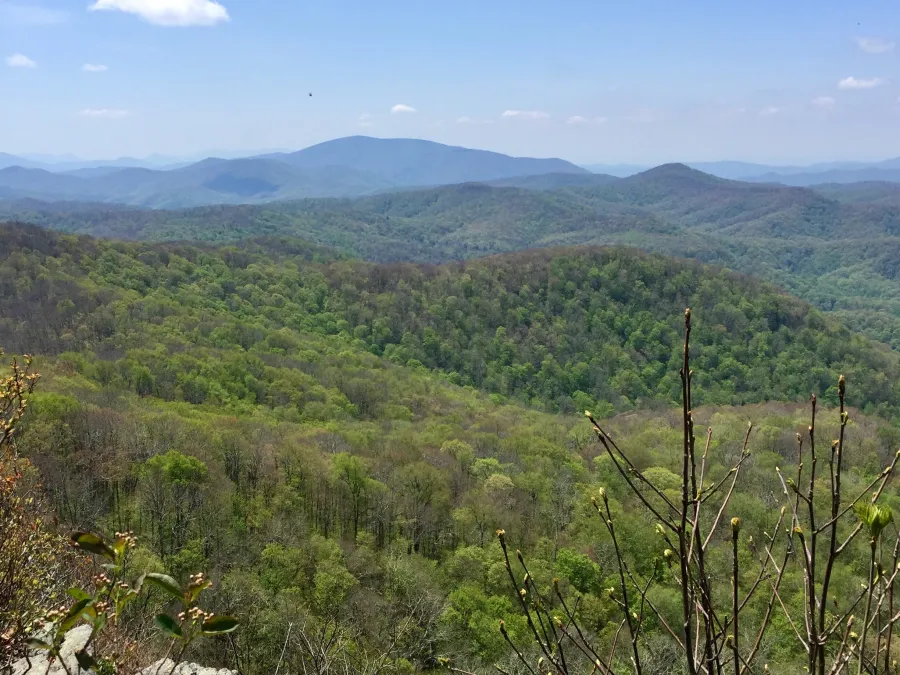 The view from Little Rock Knob