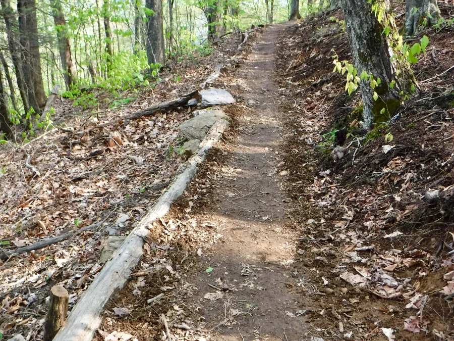 The trail makes a moderate climb