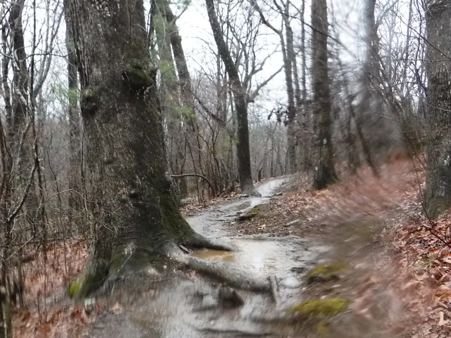 A wet climb up Hawk Mountain