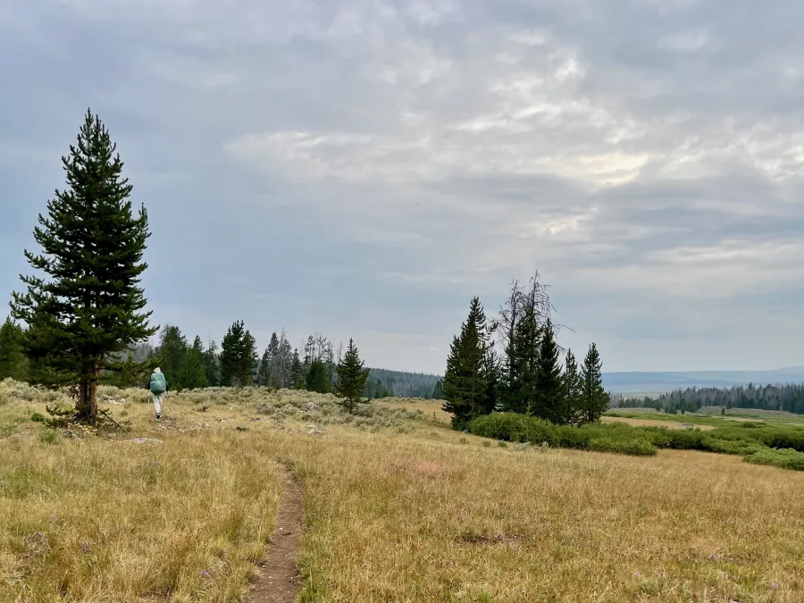 Walking over a grassy hill