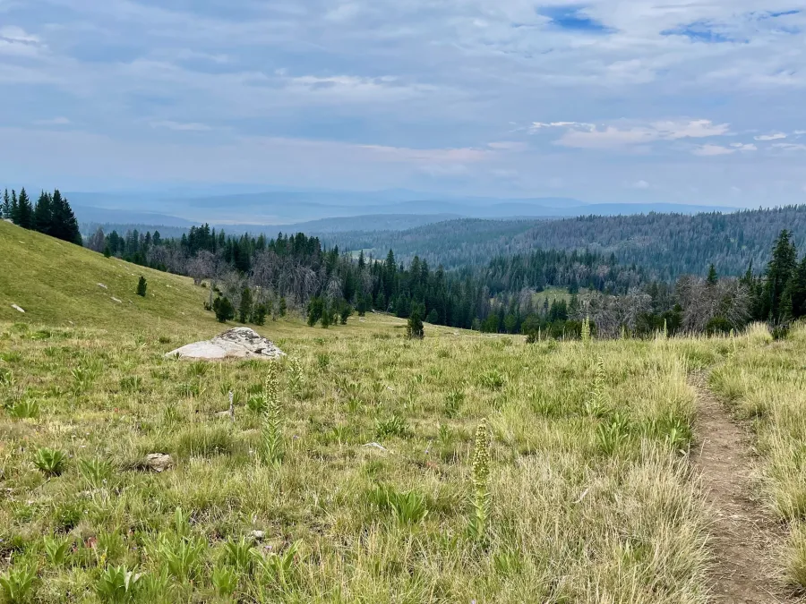 Looking north from Gunsight Pass