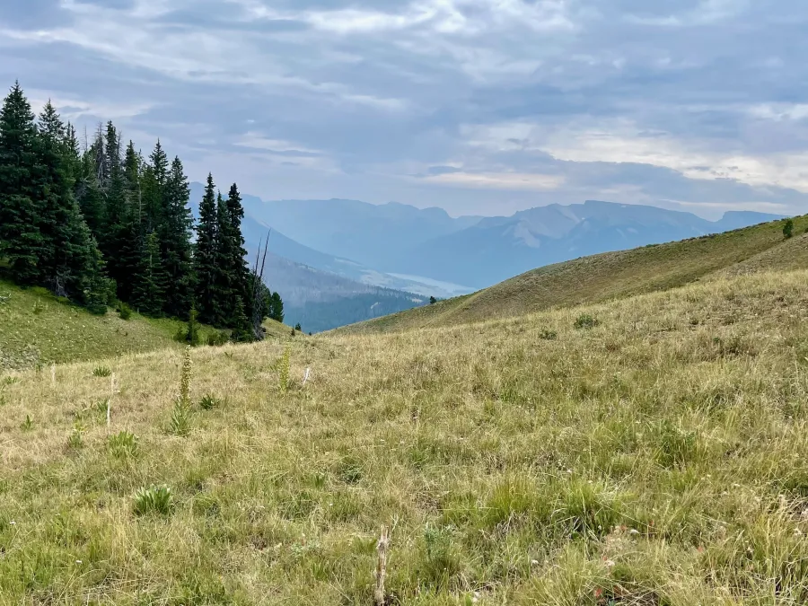 Looking south from Gunsight Pass