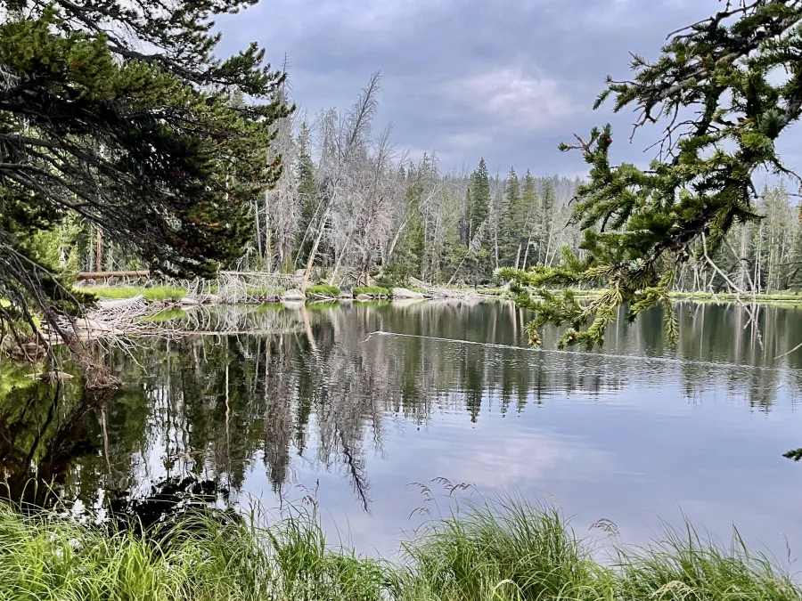 A pond at Fish Creek Park