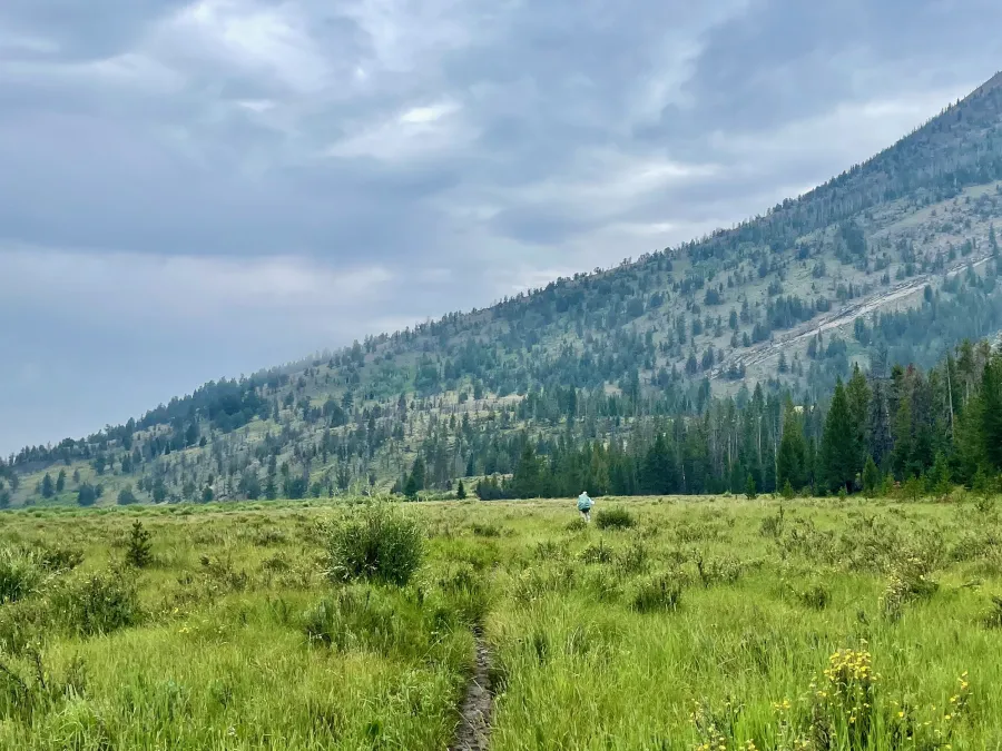 Top O' walks ahead