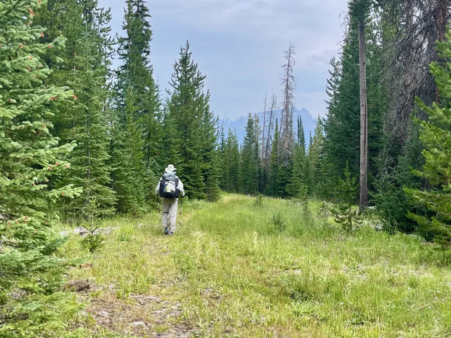 Top O' walking on a snowmobile trail