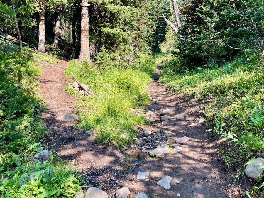 A trail junction
