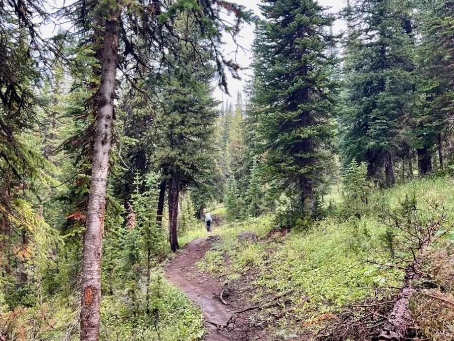 Climbing to Eagle Pass