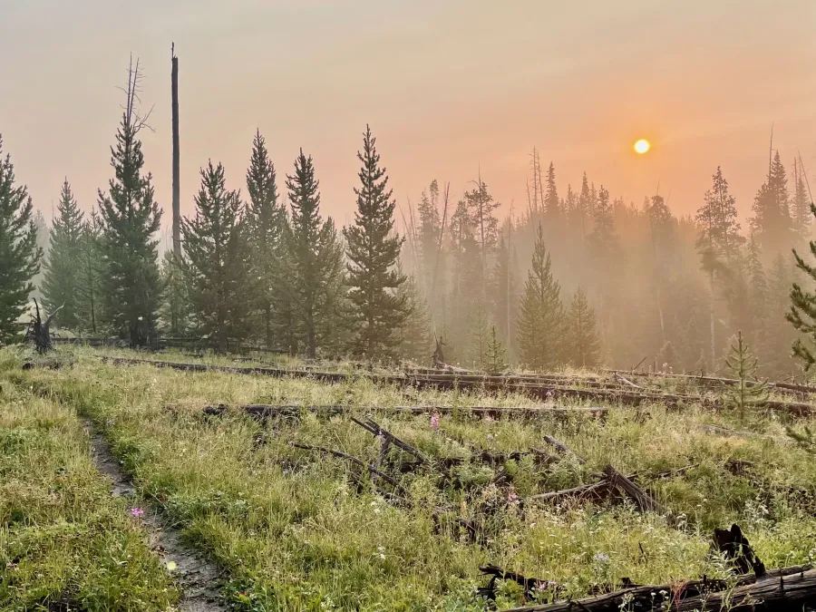 Sunrise in smoke and fog