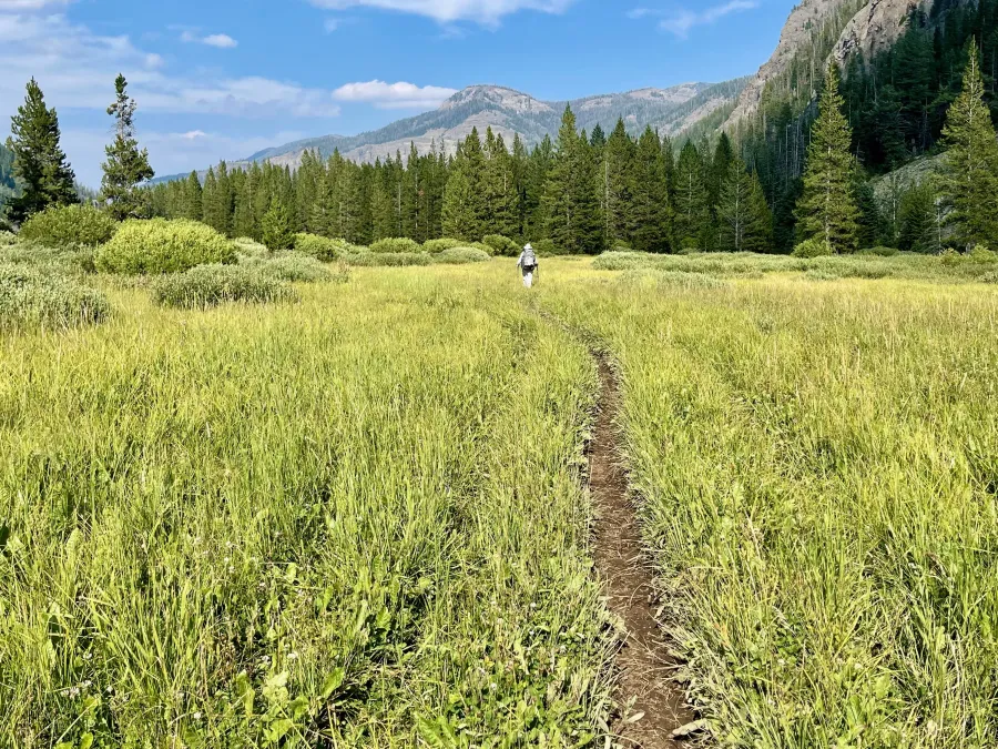Eagle Creek Meadow