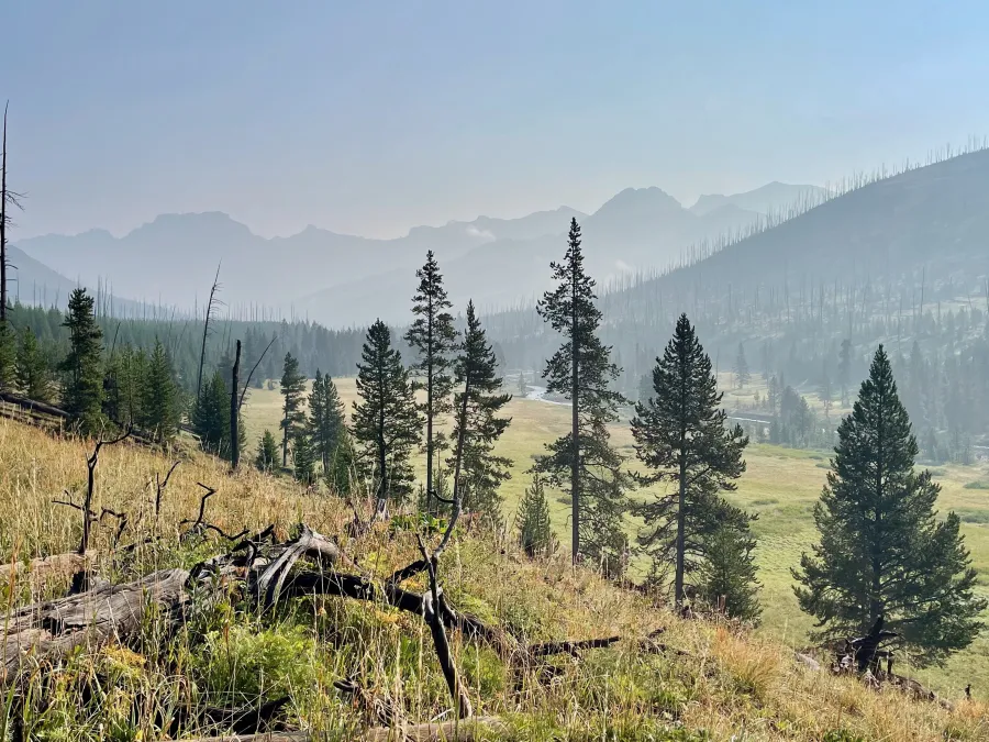 Howell Creek valley