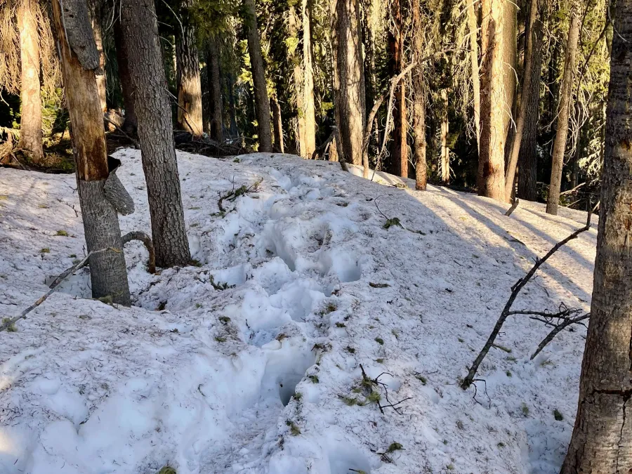 Deep snow on the CDT